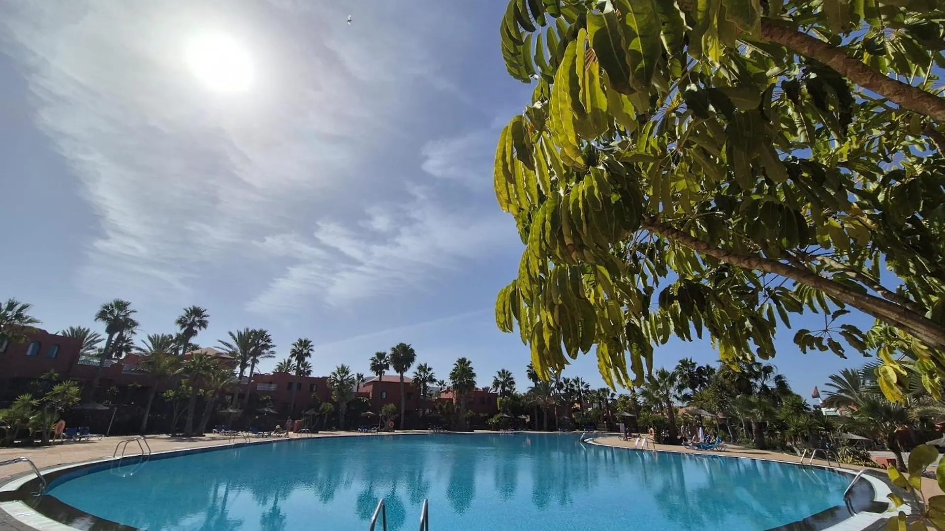 Oasis Home Corralejo
